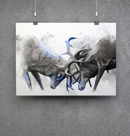 BLUE SERIES - DEER | 10 X 8