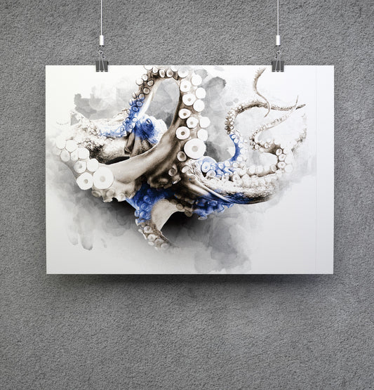 BLUE SERIES - OCTO | 10 X 8